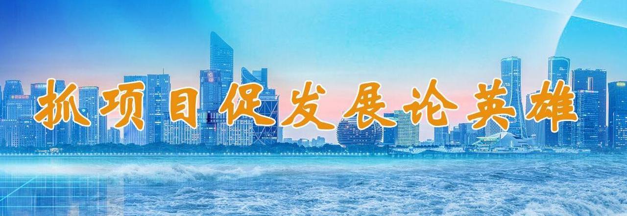 【专题】抓项目促发展论英雄
